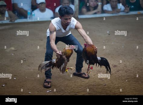 sabong sa pasay|A Walk Through The Pasay City Cockpit (Cock Fighting), Manila .